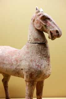 fotografia, material, livra, ajardine, imagine, proveja fotografia,Olaria Horse, China antiga, Guerreiros de terracota, Esttuas de cavalo, Cermica