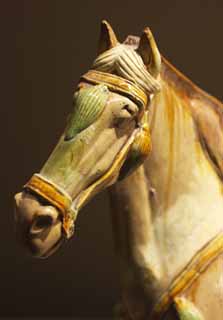 fotografia, material, livra, ajardine, imagine, proveja fotografia,Tricolored vidros cavalo, Cermica, China antiga, Cavalo, Badejo de Zhao