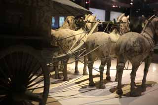 Foto, materieel, vrij, landschap, schilderstuk, bevoorraden foto,Brons Chariot en Paarden in Mausoleum van de eerste keizer Qin, Paard-gehoosde smeris, Oeroud volk, Groeve, Wereld Heritage