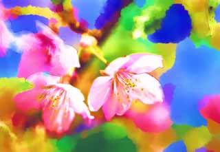 illustration,material,free,landscape,picture,painting,color pencil,crayon,drawing,Pink cherry, Sakura, , Cherry, 