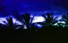 fotografia, material, livra, ajardine, imagine, proveja fotografia,Tempestade se aproximando, amanhecer, azul, branco, rvore