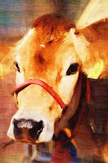 illust, materiale, libero panorama, ritratto dipinto, matita di colore disegna a pastello, disegnando,Maglia bovini, Latte, Bestiame bovino, Bue, 