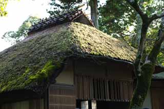 Foto, materieel, vrij, landschap, schilderstuk, bevoorraden foto,YUKA in paviljoen Kinkakuji, Wereld Heritage, Gouden Paviljoen, Thee, Kyoto