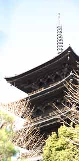 Foto, materieel, vrij, landschap, schilderstuk, bevoorraden foto,To-ji tempel van vijf verhaal pagode, Boeddhisme, Toren, Wereld Heritage, Quintuple rijzen