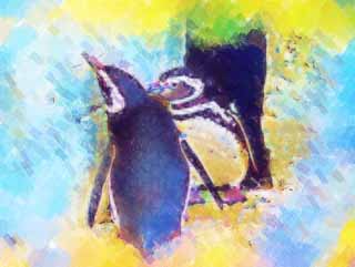Illust, materieel, vrij, landschap, schilderstuk, schilderstuk, kleuren potlood, crayon, werkje,Magelhaense pinguns, PEN Ginga, Pinguin, Bill, Vleugels