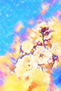 illust, materiale, libero panorama, ritratto dipinto, matita di colore disegna a pastello, disegnando,Prugna frutteto bianco della prugna Fiore, UME, Susine, Susina, Ramo