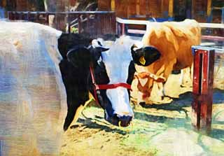 illust, materiale, libero panorama, ritratto dipinto, matita di colore disegna a pastello, disegnando,Bovini, Bestiame bovino, Bue, , 