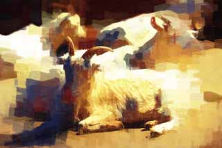 illustration,material,free,landscape,picture,painting,color pencil,crayon,drawing,Goat, Goat, , , Livestock