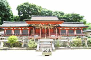Foto, materiell, befreit, Landschaft, Bild, hat Foto auf Lager,Yakushi-ji-Tempel, Ich werde in roten gemalt, rtliche Gottheitsfirma, Hideyori Toyotomi, Schintoistischer Schrein