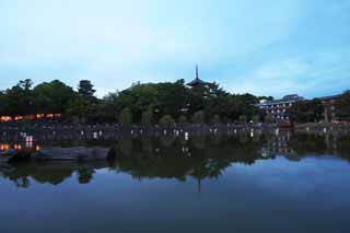 Foto, materiell, befreit, Landschaft, Bild, hat Foto auf Lager,Ein Teich von Sarusawa, Weide, Teich, Nara-koen-Park, Touristenattraktion