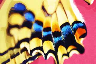 Illust, materieel, vrij, landschap, schilderstuk, schilderstuk, kleuren potlood, crayon, werkje,Een gemeenschappelijk geel swallowtail, Vlinder, , , Fosfor gruis