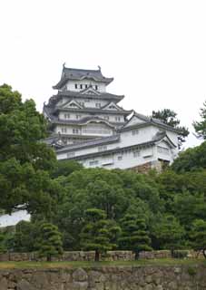 Foto, materieel, vrij, landschap, schilderstuk, bevoorraden foto,Himeji-jo Kasteel, Vier nationale schatten Kasteel, Het kasteel toren, Shigetaka Kuroda, Hideyoshi Hashiba