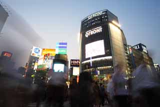 foto,tela,gratis,paisaje,fotografa,idea,El cruzar de estacin de Shibuya, En el centro, Paseante, Paso de peatones, Multitud