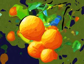 Illust, materieel, vrij, landschap, schilderstuk, schilderstuk, kleuren potlood, crayon, werkje,Een hassaku sinaasappel, Citrus vruchten, , Vrucht, Mandarijn sinaasappel
