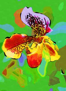 illustration,material,free,landscape,picture,painting,color pencil,crayon,drawing,Paphiopedilum, An orchid, , , 