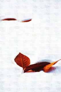 illust, materiale, libero panorama, ritratto dipinto, matita di colore disegna a pastello, disegnando, versato le foglie da neve, La neve, Foglie morte, albero ciliegio, Hokkaido