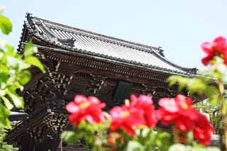 Foto, materiell, befreit, Landschaft, Bild, hat Foto auf Lager,Das Deva-Tor von Hase-dera Temple, Mikado, Der Kannon, Verehrer, Mitera der Blume