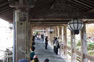 fotografia, material, livra, ajardine, imagine, proveja fotografia,O para cima corredor de Templo de Hase-dera, corredor, Escadarias, adorador, Mitera da flor