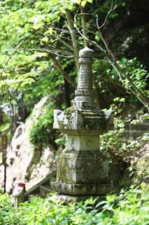 photo,material,free,landscape,picture,stock photo,Creative Commons,The tower for the repose of souls of Hase-dera Temple, tower for the repose of souls, Moss, Chaitya, Mitera of the flower