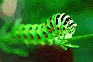 illust, materiale, libero panorama, ritratto dipinto, matita di colore disegna a pastello, disegnando,La larva della coda forcuta gialla e comune, farfalla, , bruco verde, 