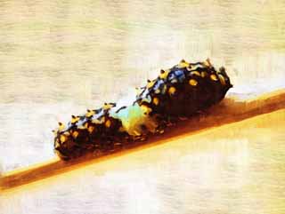 illust, material, livram, paisagem, quadro, pintura, lpis de cor, creiom, puxando,A larva do rabo de andorinha amarelo comum, borboleta, , lagarta verde, 