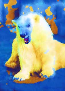 illustration,material,free,landscape,picture,painting,color pencil,crayon,drawing,A white bear, bear, white bear, margin bear, Ferocity