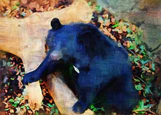 illustration,material,free,landscape,picture,painting,color pencil,crayon,drawing,A Japanese Asiatic black bear, bear, , , Ferocity