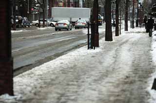 fotografia, material, livra, ajardine, imagine, proveja fotografia,De acordo com Sapporo, rvore  margem de estrada, estrada asfaltada, carro, O neve removendo