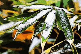 illust, material, livram, paisagem, quadro, pintura, lpis de cor, creiom, puxando,Est nevado a grama de bambu, grama de bambu, A neve, cristal nevado, floresta