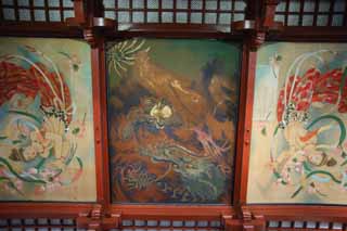 Foto, materiell, befreit, Landschaft, Bild, hat Foto auf Lager,Senso-ji Temple Deckenbild, Drachen, himmlische Maid, Asakusa, Bild