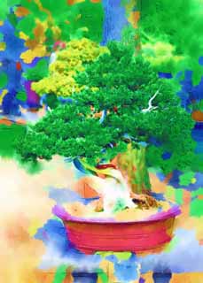 illust, materiale, libero panorama, ritratto dipinto, matita di colore disegna a pastello, disegnando,Un bonsai coreano, bonsai, pianta orto, Facendo del giardinaggio, Art
