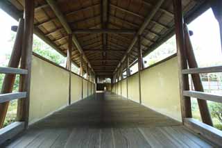 fotografia, materiale, libero il panorama, dipinga, fotografia di scorta,Tenryu-ji copr con un tetto passaggio edifici di collegamento, Chaitya, alloggi con un pavimento di legno, eredit di mondo, Sagano