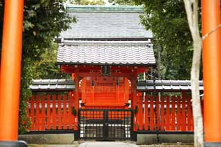 Foto, materieel, vrij, landschap, schilderstuk, bevoorraden foto,Tenryu-ji Heiligdom, Shinto heiligdom, Ik word in rood geschilderd, Wereld heritage, Sagano