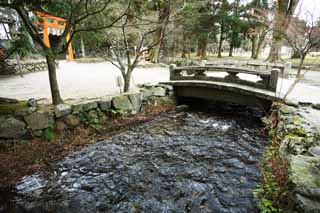 foto,tela,gratis,paisaje,fotografa,idea,Un arroyo de Kamigamo Nara del santuario, Naipe japons tradicional, Poema japons 31 slaba, Un evento, El Emperador