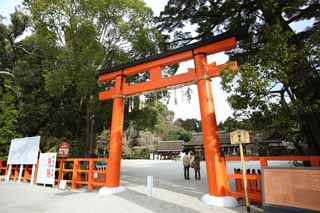 Foto, materieel, vrij, landschap, schilderstuk, bevoorraden foto,Getwee Kamigamo Shrine toriis, Torii, Shinto stro festoon, Voorkoming tegen kwaad, De Keizer