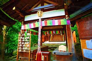 illust, , , , , ,  ,  , .,Kamigamo Shrine Kataoka , Matchmaking,  Genji,  , 
