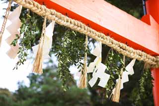 photo,material,free,landscape,picture,stock photo,Creative Commons,Two Kamigamo Shrine toriis, torii, Shinto straw festoon, Prevention against evil, The Emperor