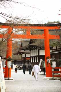 photo,material,free,landscape,picture,stock photo,Creative Commons,Shimogamo Shrine company torii, I am painted in red, garden lantern, God, world heritage