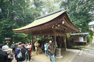photo,material,free,landscape,picture,stock photo,Creative Commons,Omiwa shrine small pavilion with water and ladles, I cleanse it, Water, Precincts, Worship