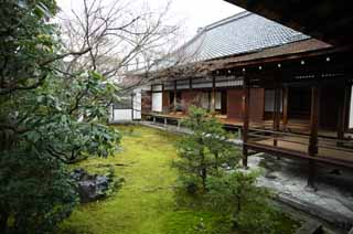 photo, la matire, libre, amnage, dcrivez, photo de la rserve,L'tude de Temple Ninna-ji a peint avec la laque noire, Mousse, jardin, Btiment du Japonais-style, La famille impriale