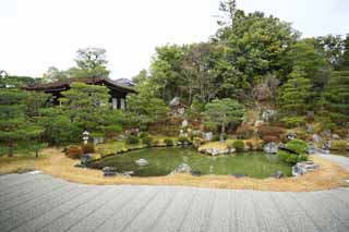 fotografia, material, livra, ajardine, imagine, proveja fotografia,Ninna-ji Templo norte jardim, barra de areia, Eu sou Japons-estilo, lagoa, estilo de jardim japons com uma lagoa no jardim de centro
