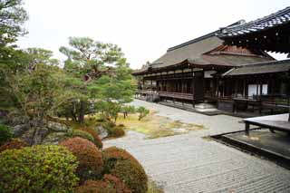 fotografia, material, livra, ajardine, imagine, proveja fotografia,Ninna-ji Templo norte jardim, Cinco pagode de Storeyed, Eu sou Japons-estilo, lagoa, estilo de jardim japons com uma lagoa no jardim de centro