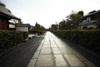 photo,material,free,landscape,picture,stock photo,Creative Commons,Myoshin-ji Temple approach to a shrine, stone pavement, At dark, Chaitya, temple belonging to the Zen sect