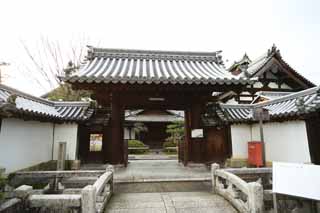 fotografia, material, livra, ajardine, imagine, proveja fotografia,A casa de templo de Myoshin-ji Harumitsu, Egen Kanzan, fundo de floresta, O papa de jardim de flor, templo que pertence  seita de Zen