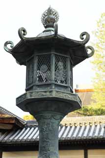 photo, la matire, libre, amnage, dcrivez, photo de la rserve,Lanterne du jardin de Myoshin-ji Temple, dragon, , Le pape du jardin de la fleur, temple qui appartient  la secte Zen