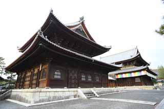 fotografia, material, livra, ajardine, imagine, proveja fotografia,Templo de Myoshin-ji santurio budista, Egen Kanzan, fundo de floresta, O papa de jardim de flor, templo que pertence  seita de Zen