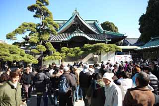, , , , ,  .,Shibamata Taishaku- ,     - ,     Shinto shrine, worshiper,  