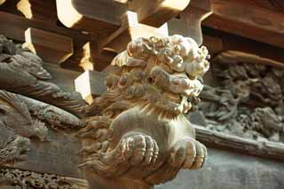 photo,material,free,landscape,picture,stock photo,Creative Commons,Shibamata Taishaku-ten Temple sculpture, lion, sculpture, grain of wood, Buddhism