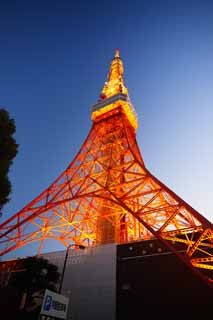 Foto, materiell, befreit, Landschaft, Bild, hat Foto auf Lager,Tokyo-Turm, Sammlung elektrischer Wellenturm, Ich beleuchte es, Eine Antenne, Eine Sternwarte