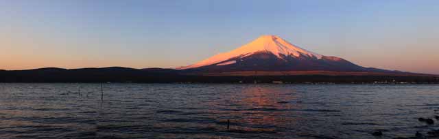 foto,tela,gratis,paisaje,fotografa,idea,Fuji rojo, Fujiyama, Las montaas cubiertas de nieve, Superficie de un lago, El brillo matutino